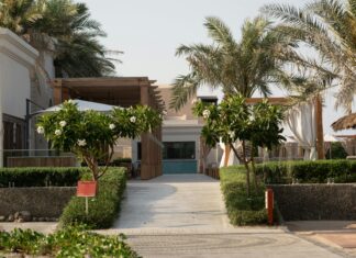 Pergola Nedir? Bahçenize Şıklık Katacak Fikirler ve İpuçları