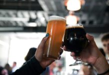 Ipa Bira Nedir? Lezzetini Keşfetmek İçin Bilmeniz Gerekenler