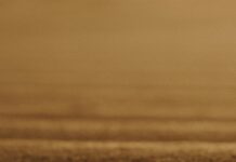 Sondaj Ne Demek? Merak Edilen Tüm Detayları Keşfedin!