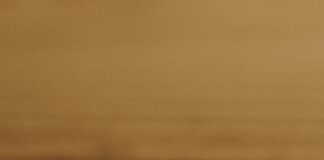 Sondaj Ne Demek? Merak Edilen Tüm Detayları Keşfedin!