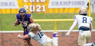 Cvbs Nedir Ve Neden Teknolojide Bu Kadar Önemlidir?