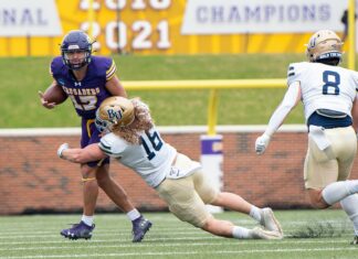 Cvbs Nedir Ve Neden Teknolojide Bu Kadar Önemlidir?