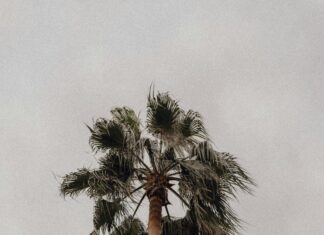 Mustafapaşa Köyü: Keşfedilmeyi Bekleyen Gizemli Cennet