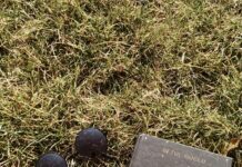 Transpalet Nedir? Kesin Bilmeniz Gereken Güçlü Bilgiler