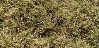 Transpalet Nedir? Kesin Bilmeniz Gereken Güçlü Bilgiler