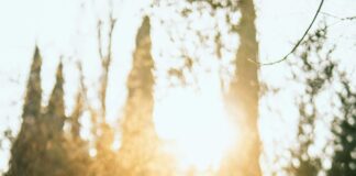 Azerbaycan Geleneksel Kıyafetleri: Büyüleyici Tarihi ve Anlamı