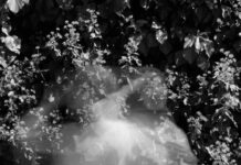 Supernatural 4 Sezon Hakkında Bilmeniz Gereken Şok Edici Gerçekler