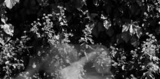 Supernatural 4 Sezon Hakkında Bilmeniz Gereken Şok Edici Gerçekler