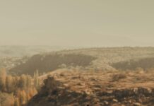 Marsbahis Adresi Nerede? En Güvenilir ve Hızlı Erişim Rehberi