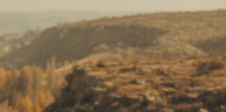 Çiyan Türleri: En İlginç Ve Şaşırtıcı Özellikleri Keşfedin