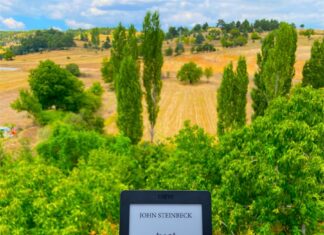 Inci Nedir? Bilmeniz Gereken Her Şey ve Şaşırtıcı Gerçekler