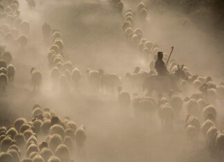 Bitlis Tatvan Posta Kodu Nedir? Keşfedilecek Detaylar!