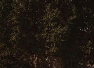 Potasyum Hidroksit Nedir? Güçlü Özellikleri ve Kullanım Alanları