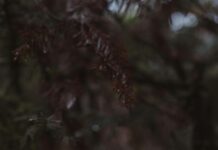 Epik Fantastik Nedir? Gizemli Dünyasının Büyüleyici Sırları