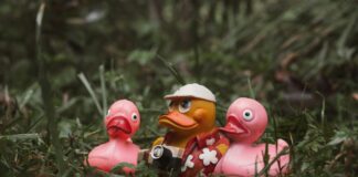 Kauçuk Nedir? Keşfedin, Faydaları ve Kullanım Alanlarıyla!