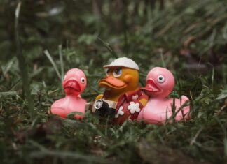 Kauçuk Nedir? Keşfedin, Faydaları ve Kullanım Alanlarıyla!