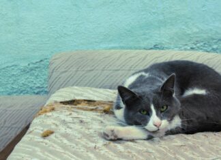 Asfalten Nedir? Merak Edilenler ve Bilmeniz Gereken Güçlü Detaylar