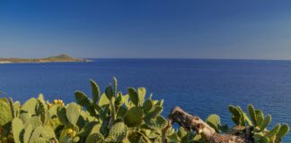 Pik Demir İle Evinizde Sağlamlık ve Şıklık Nasıl Yaratılır?