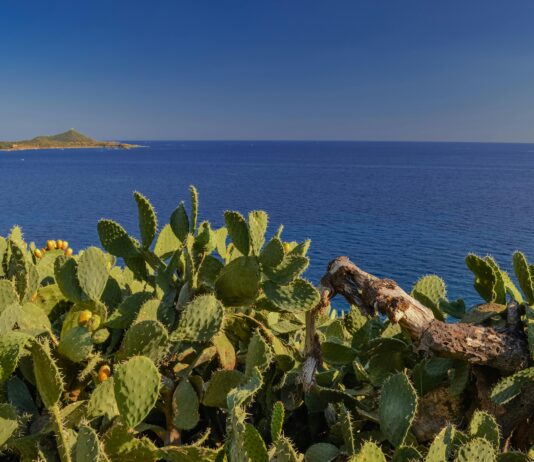 Pik Demir İle Evinizde Sağlamlık ve Şıklık Nasıl Yaratılır?