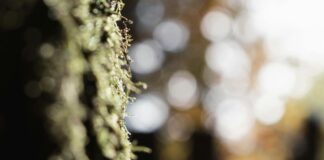 Okçuluk Hakkında Bilgiler: Ustalık İçin Bilmeniz Gereken Sırları