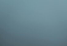 Kepenk Nedir: Merak Edilen Özellikleri ve Faydaları Nelerdir?