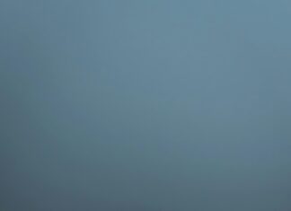 Ftalat Nedir? Sağlığınızı Etkileyen Gizemli Kimyasalı Keşfedin