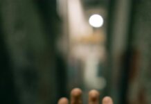 Okçuluk Sporu Nedir? Etkileyici Faydaları ve Başlangıç Rehberi