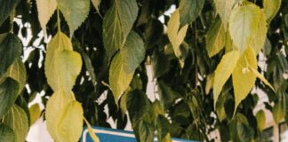 Etil Etanoat Nedir? Şaşırtıcı Kullanım Alanları ve Faydaları