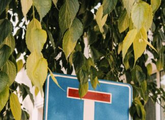 Etil Etanoat Nedir? Şaşırtıcı Kullanım Alanları ve Faydaları