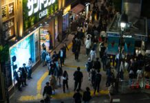 Japon İğdesi Nedir? Faydaları ve Şaşırtıcı Etkileriyle Keşfedin