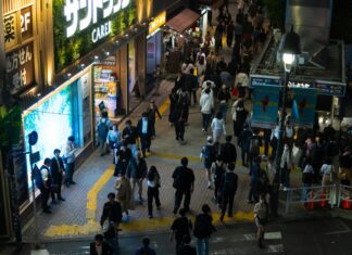 Japon İğdesi Nedir? Faydaları ve Şaşırtıcı Etkileriyle Keşfedin