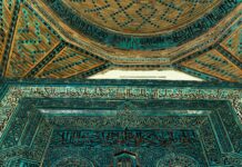 Replantasyon Nedir? Bilmeniz Gereken Etkileyici Detaylar