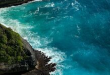 Delibal Balı Nedir? Şaşırtıcı Faydaları ve Doğal Mucizesi