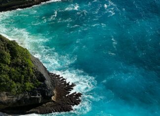 Delibal Balı Nedir? Şaşırtıcı Faydaları ve Doğal Mucizesi