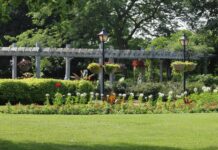 Pergola Ne Demek: Bahçeniz İçin Şaşırtıcı Faydaları Neler?