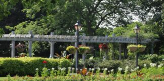 Pergola Ne Demek: Bahçeniz İçin Şaşırtıcı Faydaları Neler?