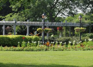 Pergola Ne Demek: Bahçeniz İçin Şaşırtıcı Faydaları Neler?