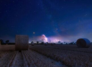 Bale Nedir Ve Neden İzlenmesi Gereken Büyüleyici Sanattır?