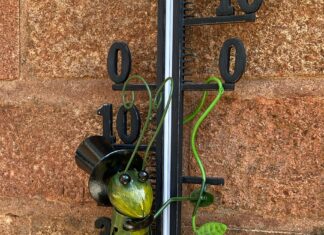 10 Yard Kaç Metre? Kesin ve Hızlı Ölçüm Rehberi ile Öğrenin