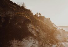 Kaşmir Keçisi Nedir? Doğal Kaşmirin Sırları ve Faydaları