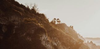 Kaşmir Keçisi Nedir? Doğal Kaşmirin Sırları ve Faydaları