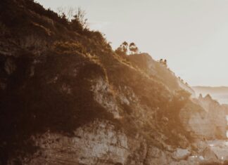 Kaşmir Keçisi Nedir? Doğal Kaşmirin Sırları ve Faydaları