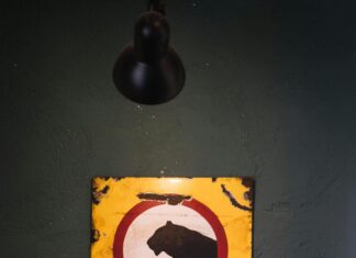 Konyadaki Üniler Kimler? Şaşırtıcı Gerçekler ve Hikayeleri