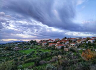 Seg Klima Servis: En İyi Performans İçin Bilmeniz Gerekenler