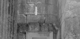 Acı Bal Nedir? Şaşırtıcı Faydaları ve Doğal Kullanım Yöntemleri