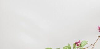 Gijon’da Keşfedilecek Gizli Cennetler ve Sürpriz Duraklar