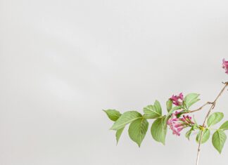 Gijon’da Keşfedilecek Gizli Cennetler ve Sürpriz Duraklar