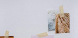 Pantone Ne Demek? Renklerin Sırrını Keşfedin ve Öğrenin