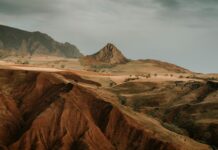 Şebinkarahisar Cevizi Nedir? Faydaları ve Lezzet Sırlarıyla Keşfedin