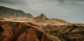 Şebinkarahisar Cevizi Nedir? Faydaları ve Lezzet Sırlarıyla Keşfedin